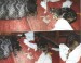 Thumbs/tn_Sterne 014.jpg